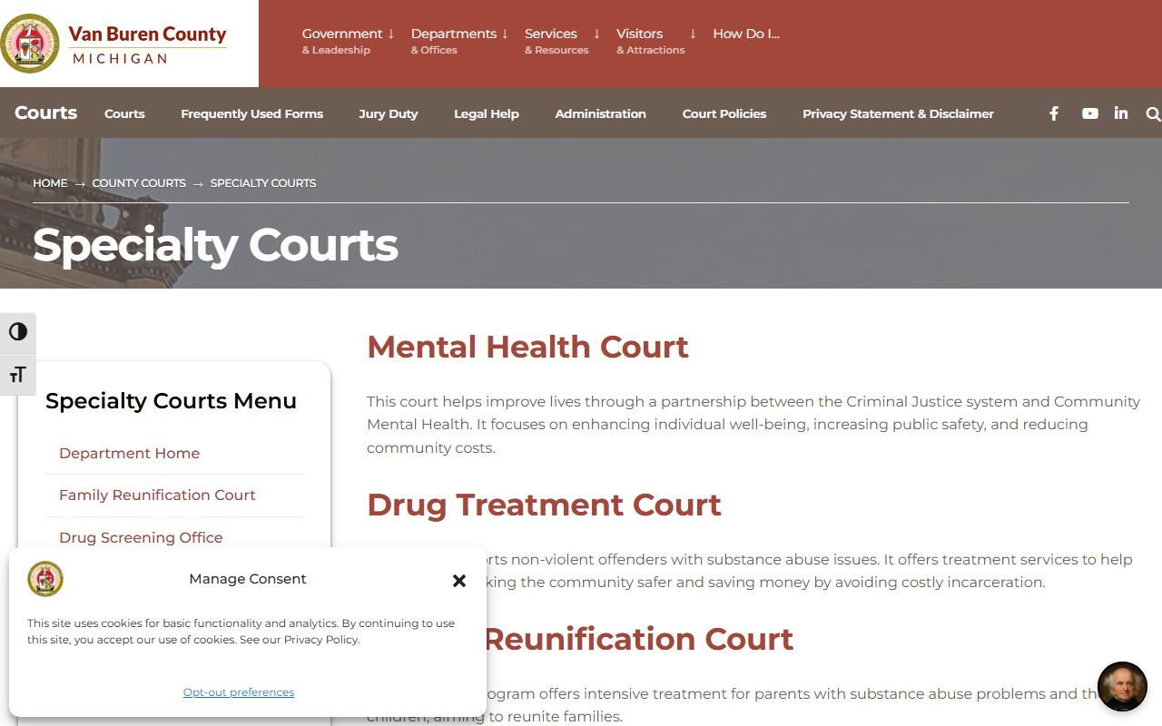 Van Buren County specialty courts overview and court records page